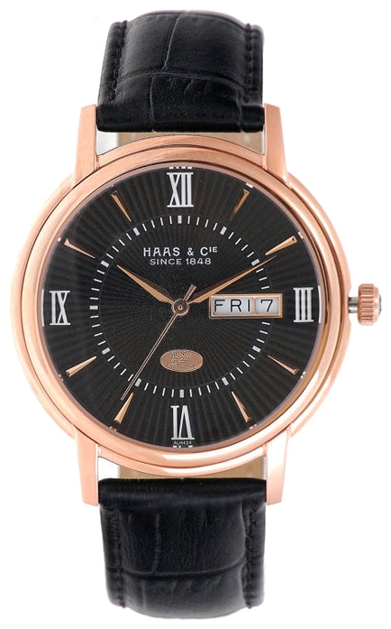 Haas ALH424LBA wrist watches for men - 1 image, picture, photo