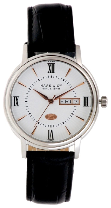 Haas ALH424ZWA wrist watches for men - 1 image, picture, photo