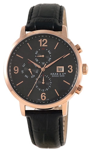 Wrist watch Haas FAH438LEA for men - 1 picture, photo, image