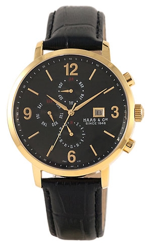 Wrist watch Haas FAH438XBA for men - 1 picture, image, photo