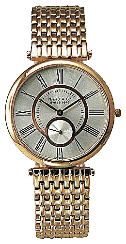Wrist watch Haas FYH388RSA for men - 1 photo, picture, image