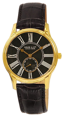 Haas watch for men - picture, image, photo