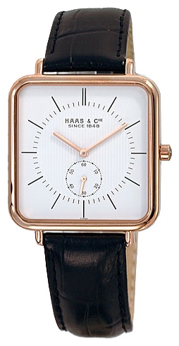 Wrist watch Haas FYH425LWA for men - 1 photo, image, picture