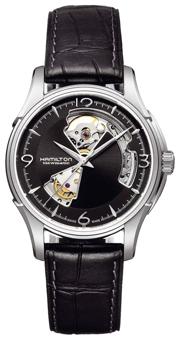 Hamilton watch for men - picture, image, photo