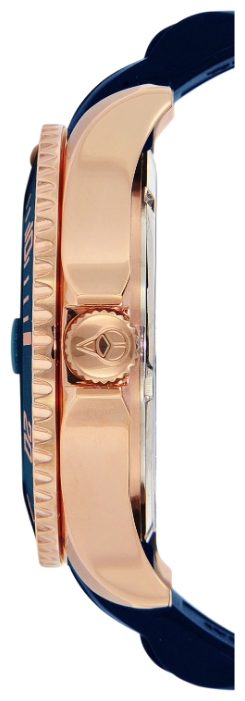 Wrist watch Ice-Watch IS.DAR.U.S.13 for unisex - 2 image, photo, picture