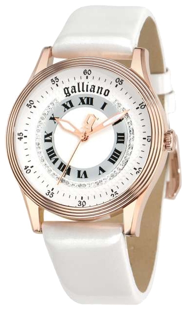 Wrist watch John Galliano R2551104501 for women - 1 picture, photo, image