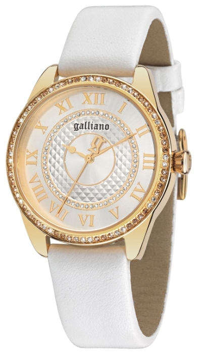 Wrist watch John Galliano R2551115502 for women - 1 photo, image, picture