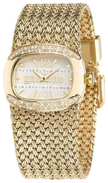 Wrist watch John Galliano R2553107501 for women - 1 picture, photo, image