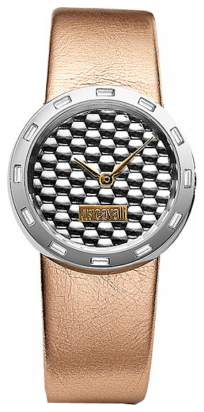 Wrist watch Just Cavalli 7251_115_515 for women - 1 image, photo, picture