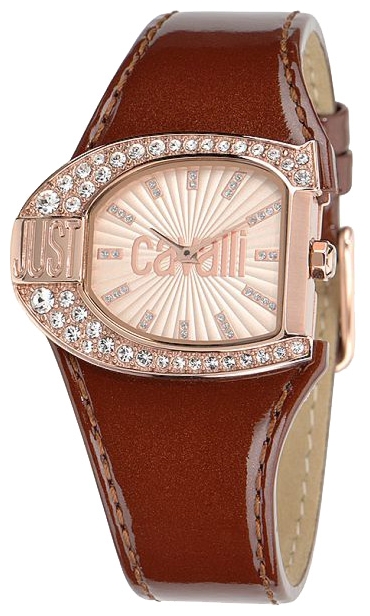 Wrist watch Just Cavalli 7251_160_505 for women - 1 photo, picture, image