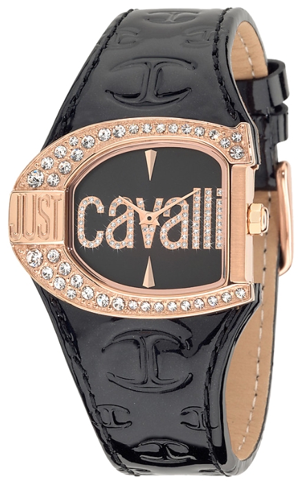Wrist watch Just Cavalli 7251_160_509 for women - 1 photo, image, picture