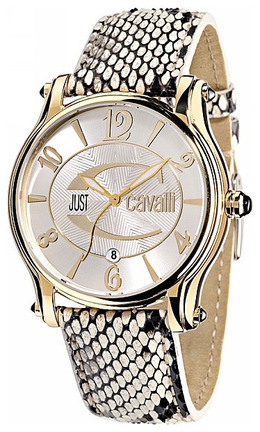 Wrist watch Just Cavalli 7251_168_615 for women - 1 photo, image, picture