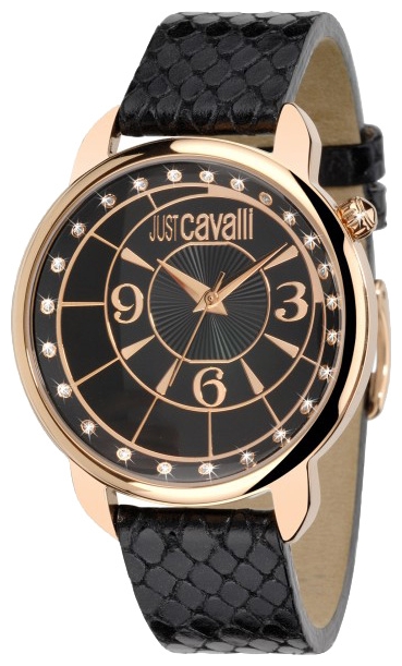 Wrist watch Just Cavalli 7251_178_525 for women - 1 photo, picture, image