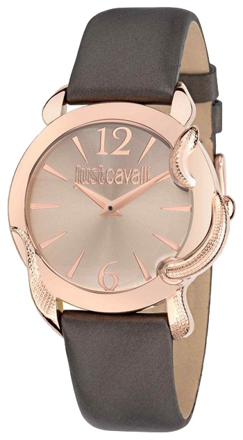 Wrist watch Just Cavalli 7251_576_501 for women - 1 photo, image, picture