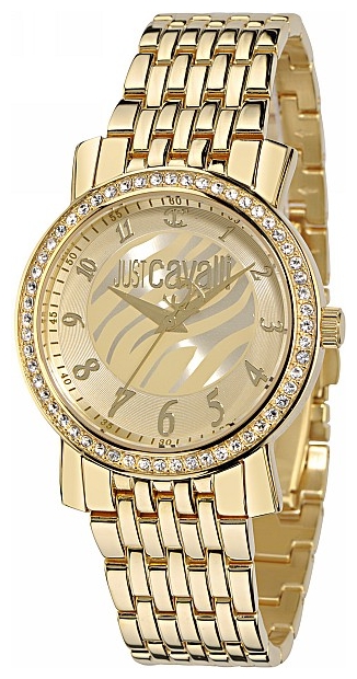 Wrist watch Just Cavalli 7253_103_617 for women - 1 photo, picture, image