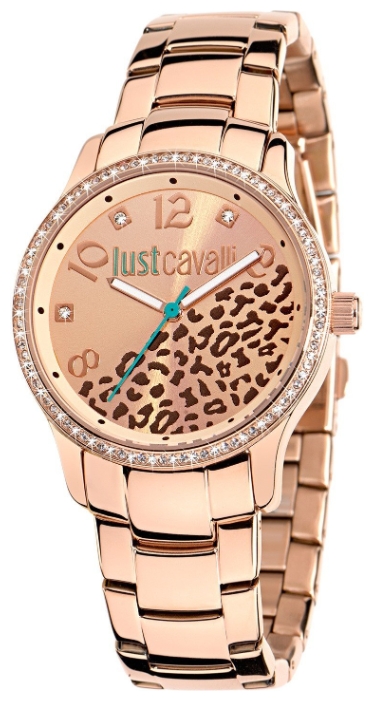 Wrist watch Just Cavalli 7253_127_510 for women - 1 image, photo, picture