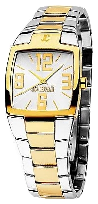 Wrist watch Just Cavalli 7253_134_515 for women - 1 image, photo, picture