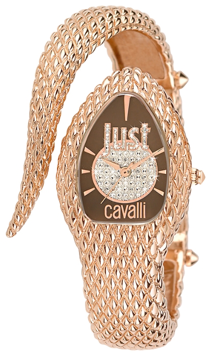 Wrist watch Just Cavalli 7253_153_501 for women - 1 picture, image, photo