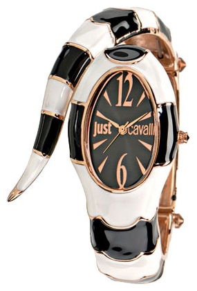 Wrist watch Just Cavalli 7253_153_506 for women - 1 photo, image, picture