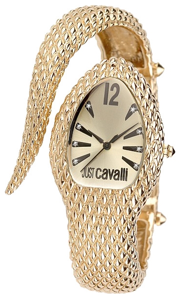 Wrist watch Just Cavalli 7253_153_517 for women - 1 photo, image, picture