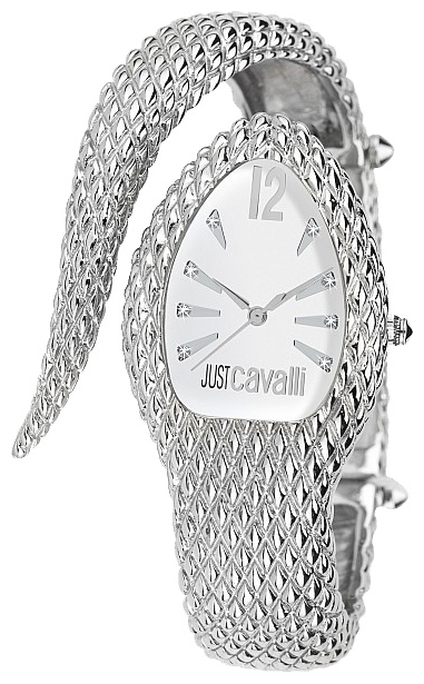 Wrist watch Just Cavalli 7253_153_645 for women - 1 picture, image, photo