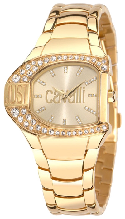 Wrist watch Just Cavalli 7253_160_501 for women - 1 photo, image, picture