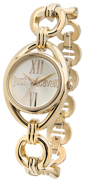 Wrist watch Just Cavalli 7253_182_501 for women - 1 picture, image, photo