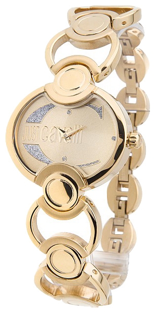 Wrist watch Just Cavalli 7253_189_617 for women - 1 picture, image, photo
