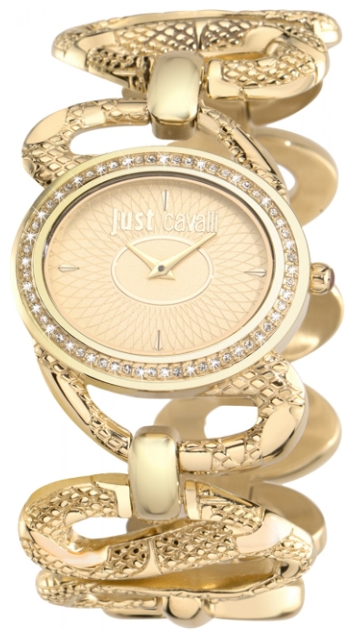 Wrist watch Just Cavalli 7253_577_501 for women - 1 photo, image, picture