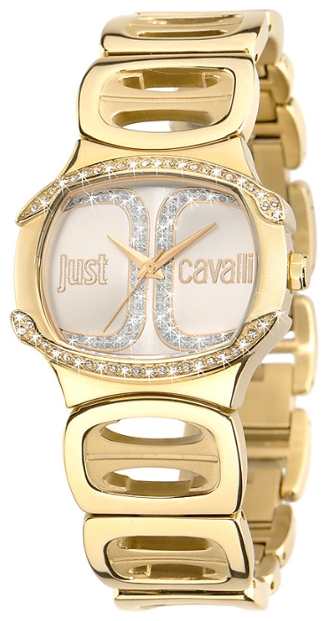 Wrist watch Just Cavalli 7253_581_501 for women - 1 photo, picture, image