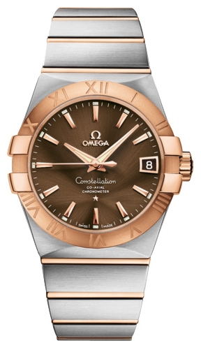 Wrist watch Omega 123.20.38.21.13.001 for men - 1 photo, picture, image