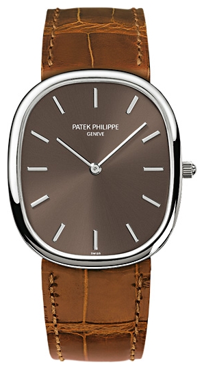 Wrist watch Patek Philippe 3738-100G for men - 1 image, photo, picture