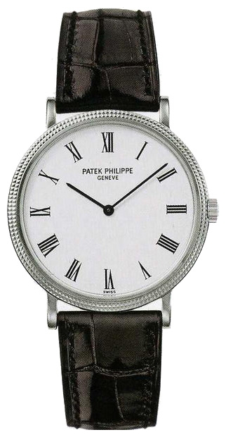 Patek Philippe watch for men - picture, image, photo