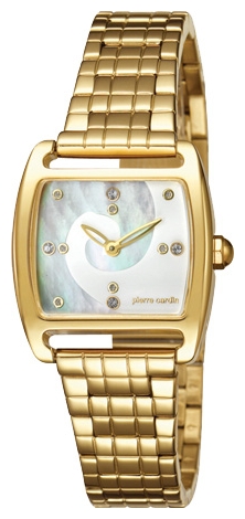 Wrist watch Pierre Cardin PC104152F07 for women - 1 photo, image, picture