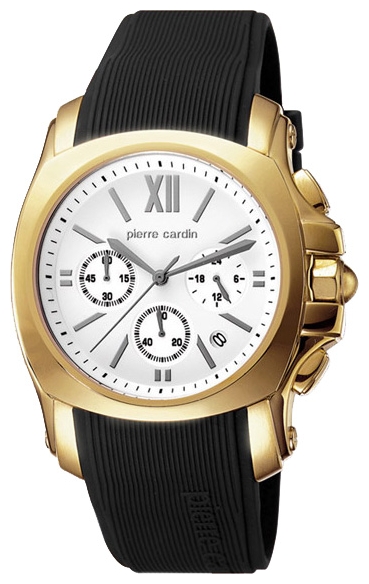 Wrist watch Pierre Cardin PC104281F03 for men - 1 picture, image, photo