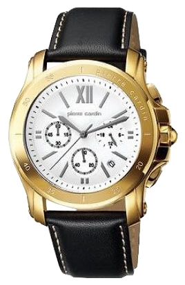 Wrist watch Pierre Cardin PC104291F05 for men - 1 image, photo, picture