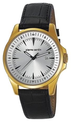 Wrist watch Pierre Cardin PC104511F05 for men - 1 picture, photo, image