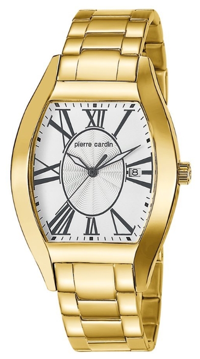Wrist watch Pierre Cardin PC104531F06 for men - 1 picture, photo, image