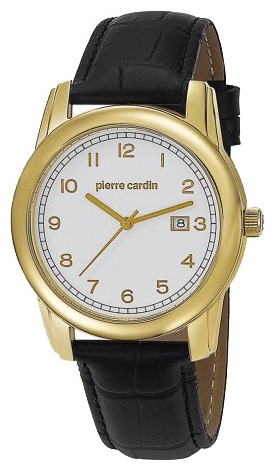 Wrist watch Pierre Cardin PC104751F05 for men - 1 photo, picture, image