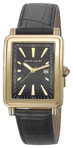Wrist watch Pierre Cardin PC104831F03 for men - 1 photo, picture, image