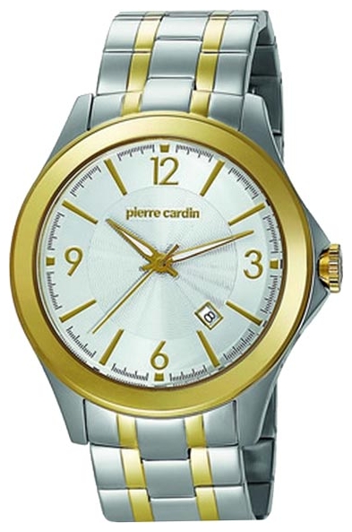 Wrist watch Pierre Cardin PC104871F04 for men - 1 photo, image, picture