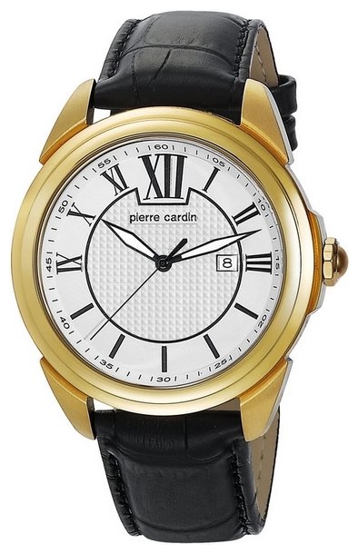 Wrist watch Pierre Cardin PC104891F06 for men - 1 photo, image, picture
