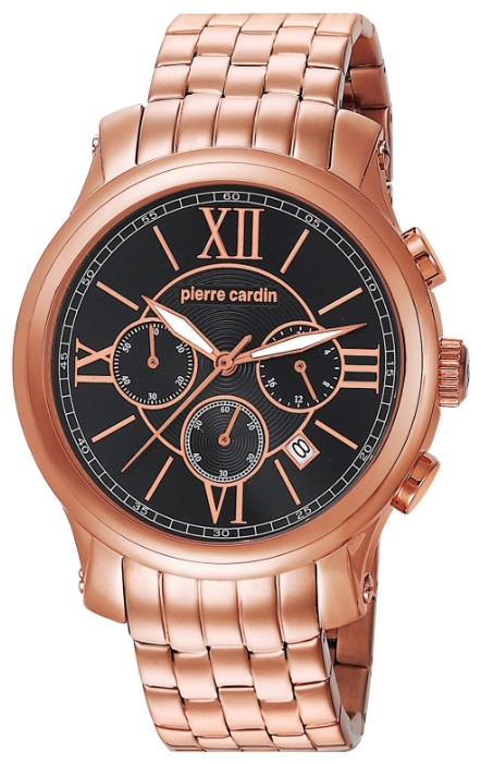 Wrist watch Pierre Cardin PC105151F03 for men - 1 picture, image, photo