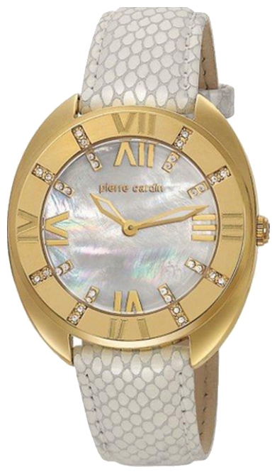Wrist watch Pierre Cardin PC105272F06 for women - 1 photo, image, picture