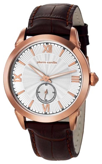 Wrist watch Pierre Cardin PC105291F06 for men - 1 picture, photo, image