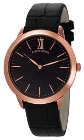 Wrist watch Pierre Cardin PC105311F04 for men - 1 photo, picture, image