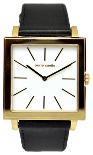 Wrist watch Pierre Cardin PC105351F03 for men - 1 photo, image, picture