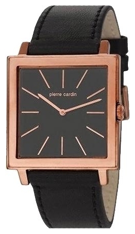 Wrist watch Pierre Cardin PC105351F04 for men - 1 picture, photo, image