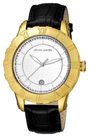 Wrist watch Pierre Cardin PC105371F05 for men - 1 photo, image, picture