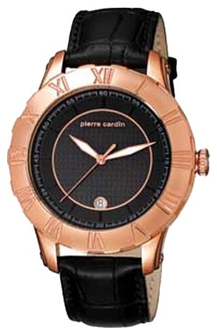 Wrist watch Pierre Cardin PC105371F07 for men - 1 picture, photo, image